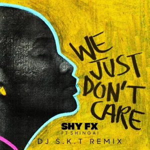 We Just Don't Care (feat. Shingai) (DJ S.K.T Remix)
