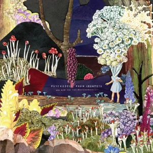 Album artwork for Hymn for a Droid by Psychedelic Porn Crumpets