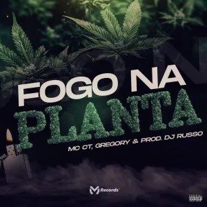 Fogo Na Planta