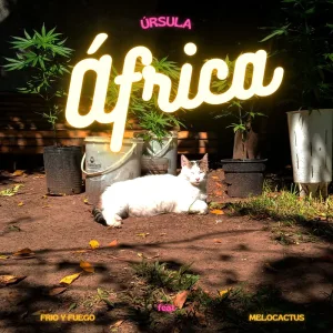 África