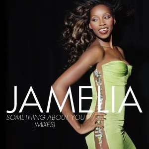 Something About You - Linus Loves Remix / Radio Edit