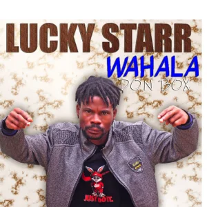 Wahala Don Box