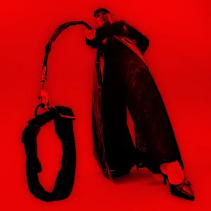 Without A Leash