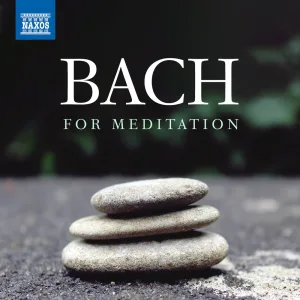 Matthäuspassion, BWV 244: Chorale. O Haupt voll Blut und Wunden