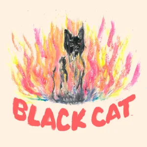 Black Cat (Part 1)