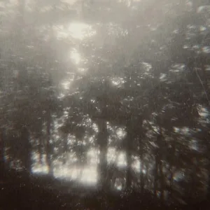 A Place For You (feat. Wounded Youth)