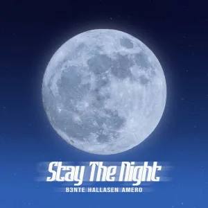 Stay The Night
