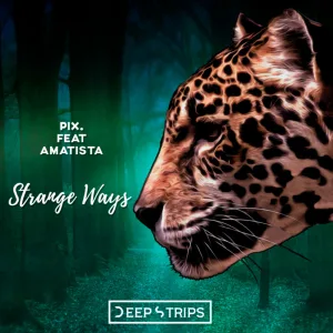 Strange Ways (Elegant Ape remix)