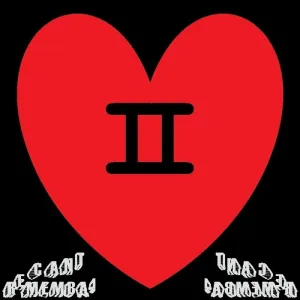Gemini Love - Single Version