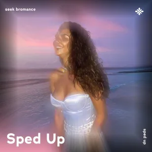 seek bromance - sped up + reverb