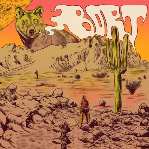 White Desert Sun