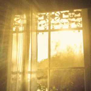 Daylight