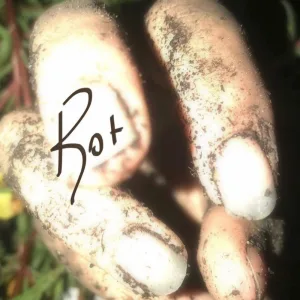 Rot