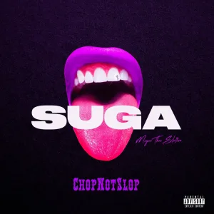 Suga Intro (Chopnotslop Remix)
