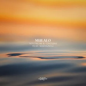 Album artwork for B.B.L (Bad Bitch Love) by Mulalo