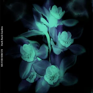 Transgression/Dark Back Garden