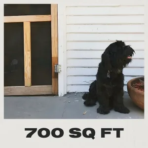 700 sq ft