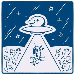 star voyage