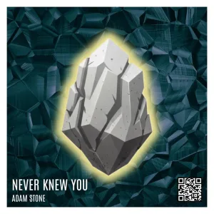 Never Knew You