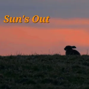 Sun's Out