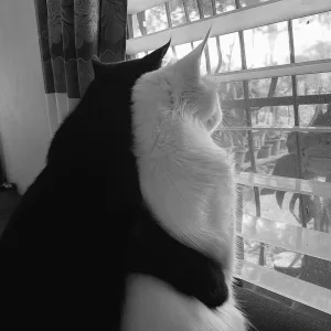 Blanco y Negro