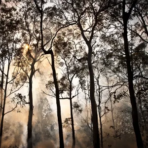 The Fire - Song For The Billion