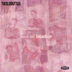 Bittersweet Loneliness