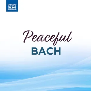 Weichet nur, betrübte Schatten, BWV 202 "Wedding Cantata": I. Weichet nur, betrübte Schatten