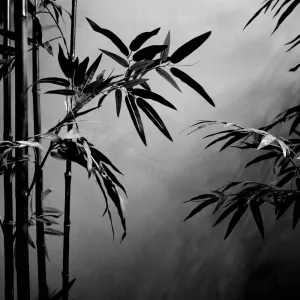 Oriental R&B Blend (Egyption R&B Soundtrack) (Radio Edit)
