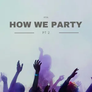 How we party (part 2) (Radio Edit)