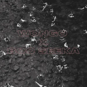 Finish What You Started (Wongo Remix)