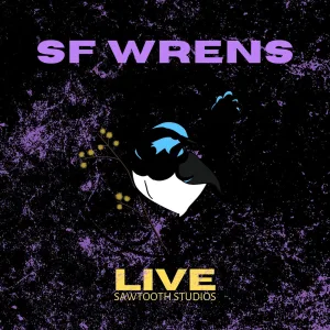 Space Apes (Live at Sawtooth Studios)