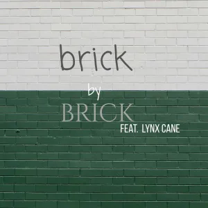 brick by brick (feat. Lynx Cane)
