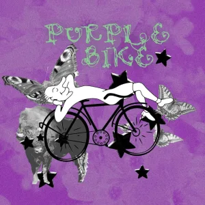 Purple Bike