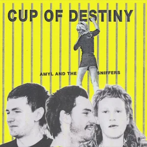 Cup Of Destiny