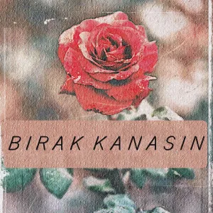 Bırak Kanasın