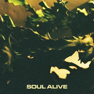 Soul Alive