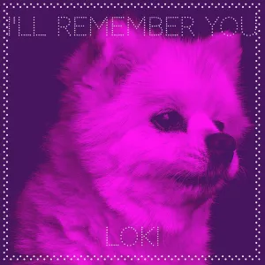 I'll Remember You