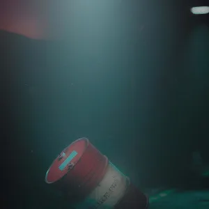 Burn Like Fire