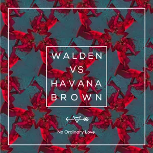 No Ordinary Love (Walden Vs. Havana Brown) / Radio Edit (Radio Edit)