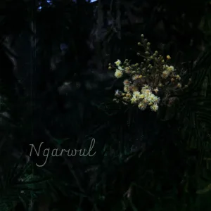 Ngarwul