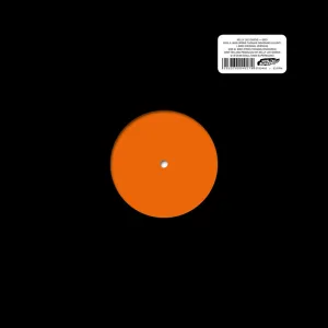 Bird (Prins Thomas remix)