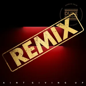 Ain't Giving Up (Paul Woolford’s Special Request Dub)