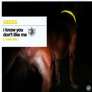 I Know You Don't Like Me (I Hate You) (Original Radio Edit)