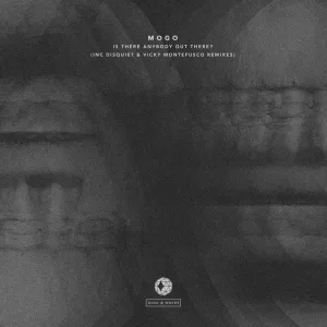 The Crazy Diamond (Original Mix)