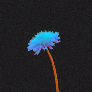 Inverted Violet