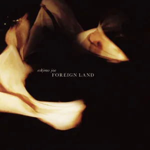 Foreign Land (Radio Edit)