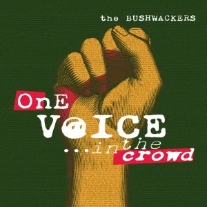 One Voice In The Crowd