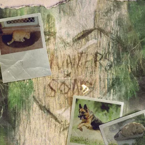 Hunters Song