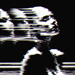 VICTIMIZER